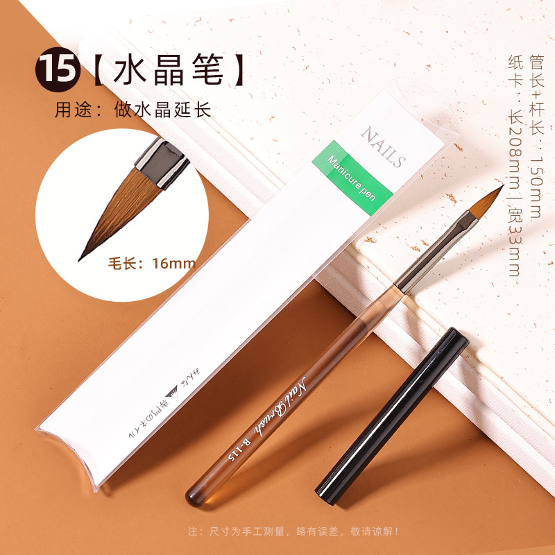 En stock marrón gruesa varilla pluma de Arte de uñas conjunto completo traje 15 piezas de arte de uñas pluma de fototerapia pluma de exploración en flor pluma pintada con tapa