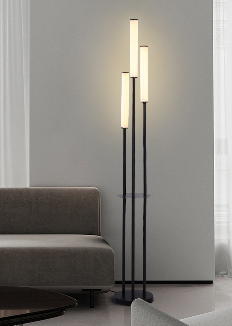 Modern LED Floor Lamp 3