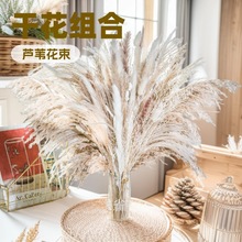 ��ϸɻ�����С�JȔ�J���`����β����Ȕ80֧�M��