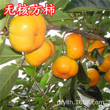 �o��ĥ�P������ �޽������� ��ɽĥ�P�������䮔��Y�����Ե��Ԙ�