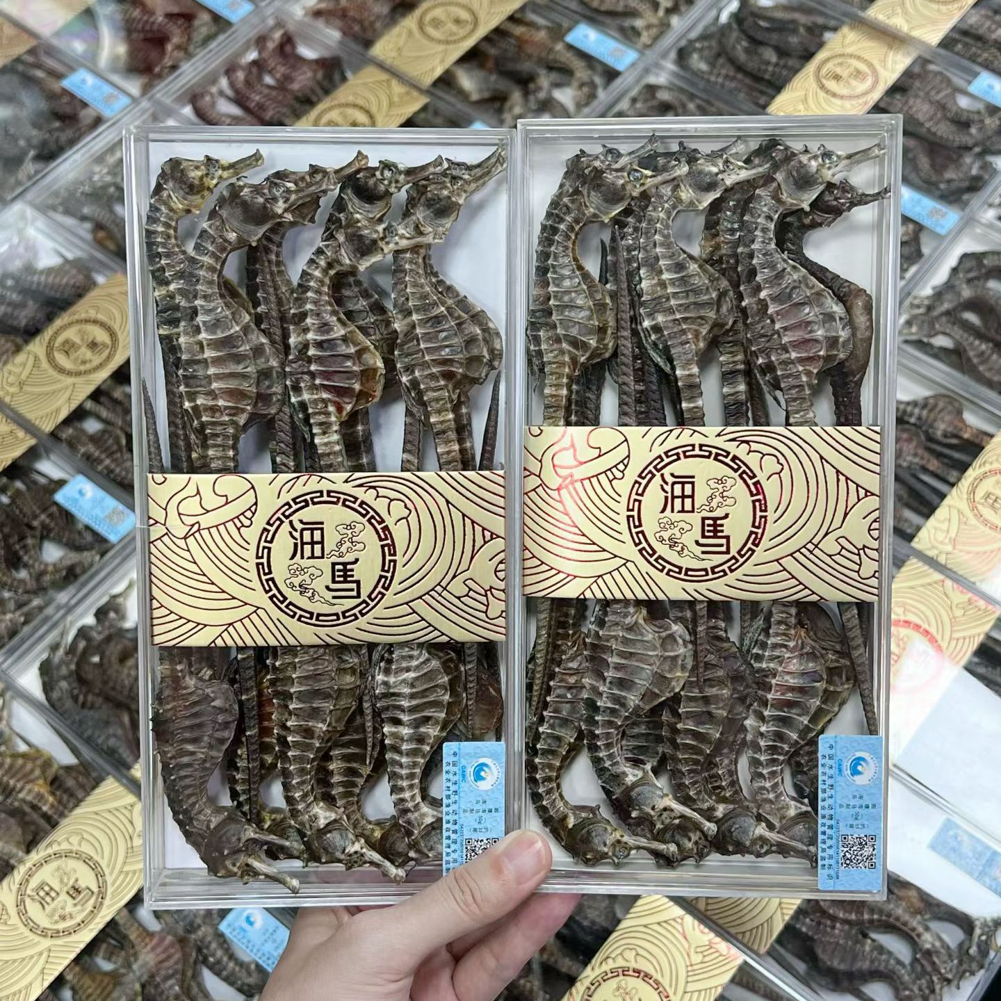 正品溯源码海马水产干货海马干货海马中药材海马泡酒药材煲汤海马