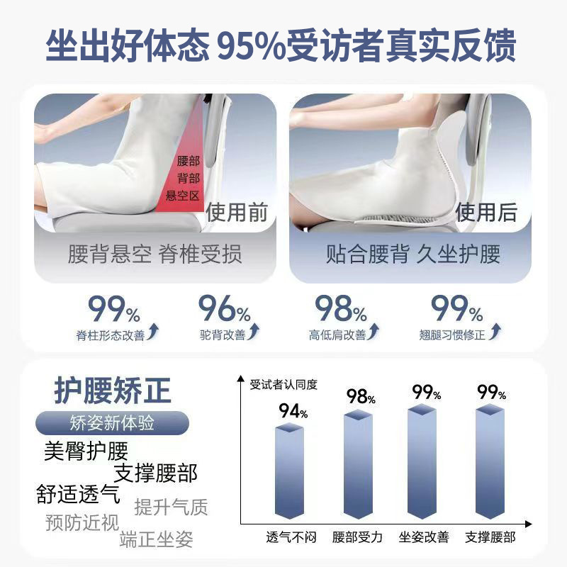人体工学护腰坐垫椅子办公室工位久坐神器腰部支撑拖靠背靠垫一体|undefined