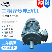 �R�_���ஐ��늄әCYE3-200L2-6-22KW�����380V/YE3