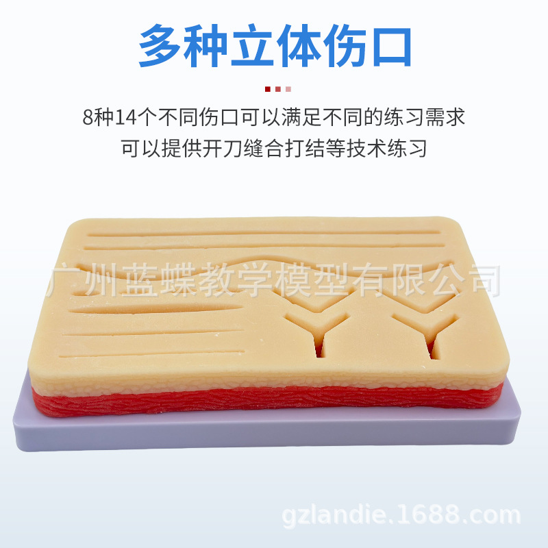 �����Ƥ�����ģ�� ��㼡���п����ѵ��ģ�� ����п������ϰ