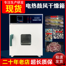 電熱鼓風干燥箱恆溫箱實驗室高溫烘箱小型工業葯材真空烘干箱現貨