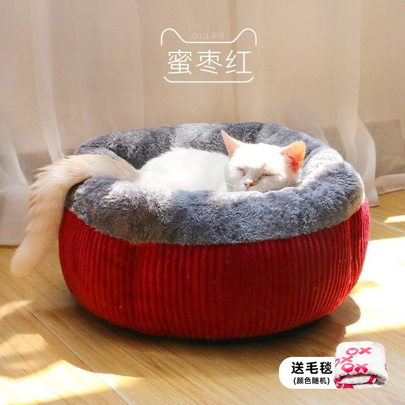 대추야자 + 담요 [업그레이드]