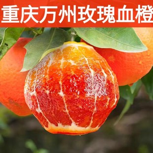 �f��õ��������_��Ѫ�ȬFժˮ���ؑc�t����������������5����l