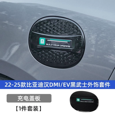 Appearance Blackening Decorative Sticker Accessories: Automobile anti-insect net - han-black-kit-22-25-charging-covers