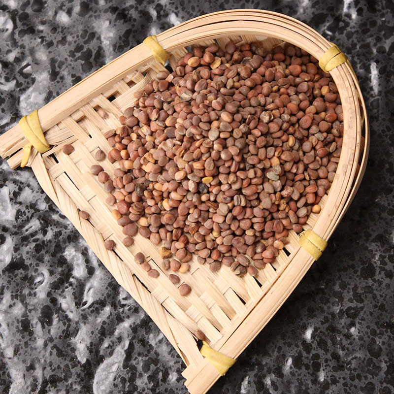 Dried Radish Seed Lai Fu Zi 500g Unsulfured Raphanus sativus Seeds for Herbal Tea and Decoction overview