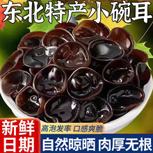 ��؛�|����������ľ����؛500gҰ�خa�����|С���ɢ�b���ľ����