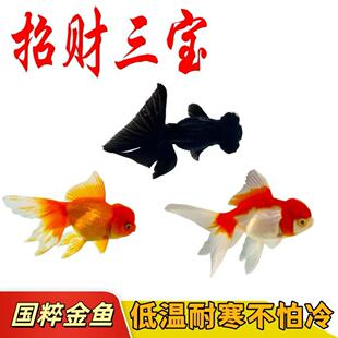 ���~���~������ˮ�^�p�~���\���^�t���{С�~���B�ͻ�С�͵�ˮ�~��