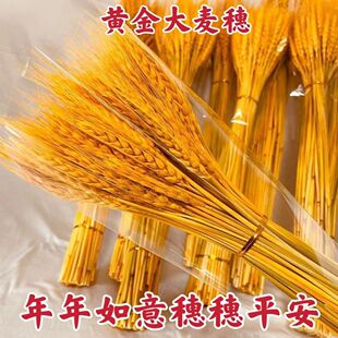 �S�������ɻ����͏d�b��҃Ȕ[�����滨��ؔ�{������ƽ��������