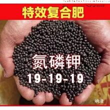 ʷ�����ͺϷʻ��ʻ��ʵ���⛾Gֲ���仨�ܠI�B����������ͨƿ�b