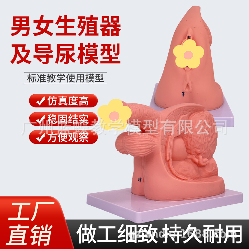 Ů��������ֳ������ ���׵���ѵ����ʾ��ϰ ��������ϵͳ��ѧģ��