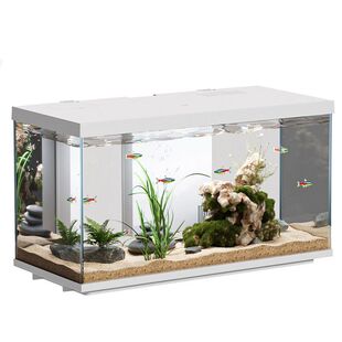 �����~�ײ����͏dС�����ܼ���ѭ�h�Qˮ���B�^�V�����쾰���~��