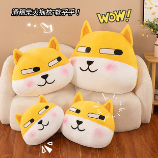 ���������Ȯ����ë�q��߿ɐ۲�Ȯ���д��^����Ƿ�ṷ�^��˯��ż