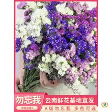 ?ɻ͏d[O滨LȻrҸɻMǸɻ