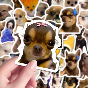 240���������N����Ц��������С��meme���D�N��diy�b�Ȥζ���~