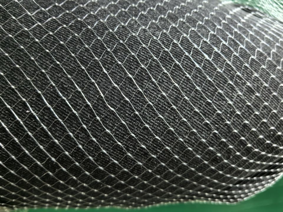 QQ图片20240313103549