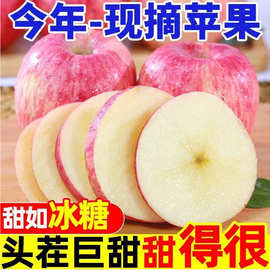 新鲜红富士苹果冰糖心孕妇水果苹果整箱不打蜡带皮吃