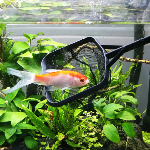 Fish Tank Fish Fishing Net Aquarium Fish Catching Square Net Skimmer Goldfish Ornamental Fish Net Square Hand Skimmer 