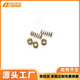 定制批发各种规格黄铜弹簧遥控器弹簧