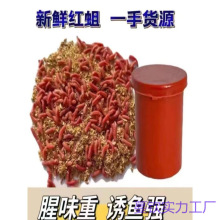 �t���x���x�nω�����~�D��~�D�����a�~Ϫ�~��D���Ӽt�x����