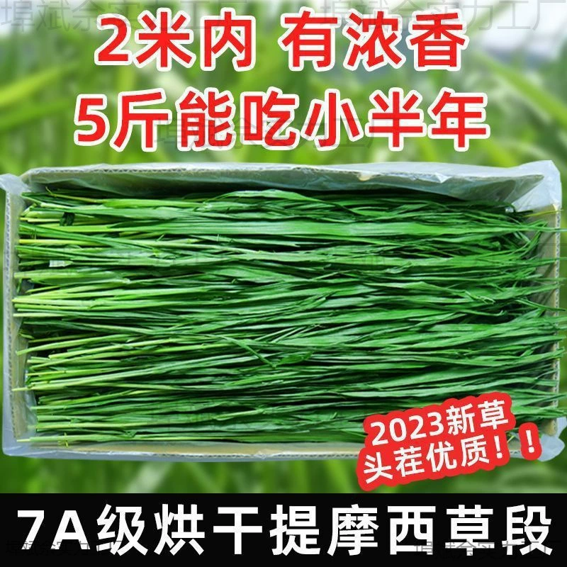 7А Тимофеевка сушеная на солнце кроличья трава новая трава синьорилла съедобная трава кроличья трава корм для морской свинки трава сено