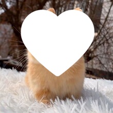 ���ӻ������С�ʹ����ú��m�豭���۶���