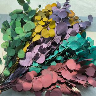 �羳�ɻ���ɫ�����O���~�ȼ����ɻ����~�Ҿӻ�YDIY���ϏS�����l