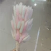 Mixed color powder and white rabbit tail grass, a bunch of about 60 pieces