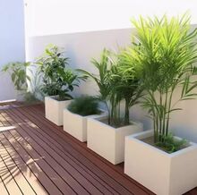 ���ⲻ�P䓻����������[�ֵ��Fˇ�����L���λ����ۘǲ��V������