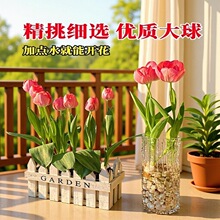 ������N��ˮ�໨�ܾGֲ�����ذ�ֲ���҃����ļ��_�����B�ͺ����N