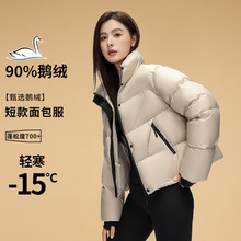 pݸ̿ZqŮ2025¿qСӘOӺ