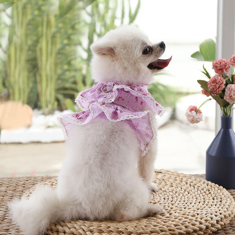 Cute Polyester Ditsy Floral Leash display picture 13