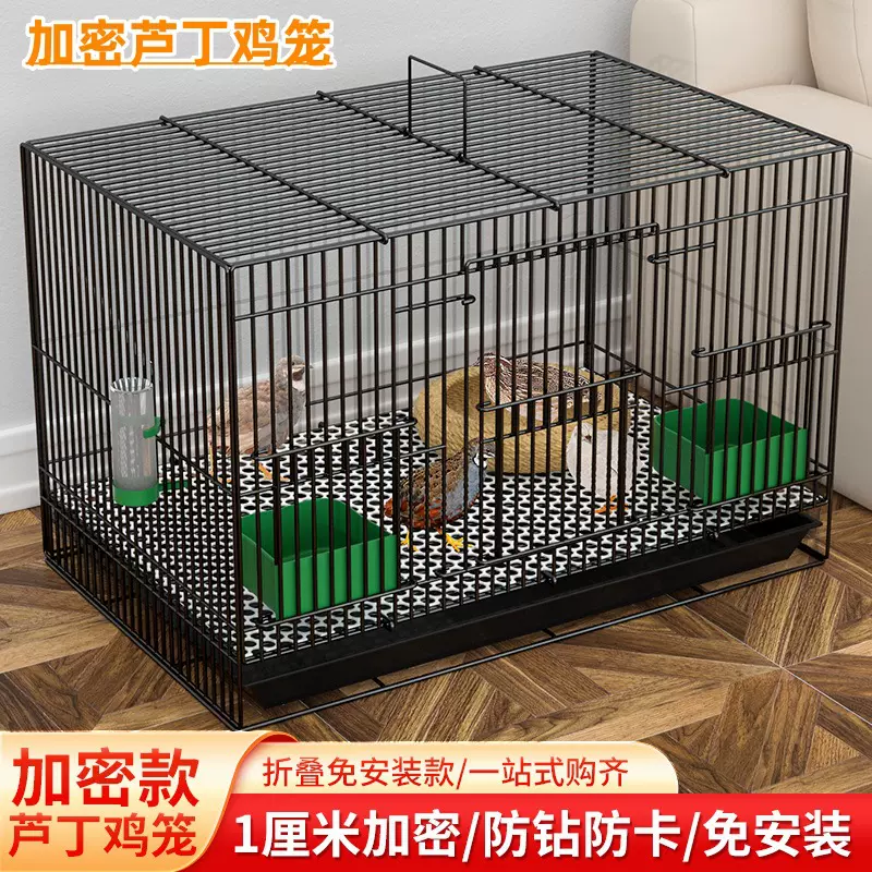芦丁鸡专用笼加密雏鸡笼室内家用大号鹌鹑笼柯尔鸭笼小黄鸭笼包邮