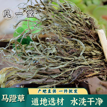 ����һ�á��R�Ųݵ����x���R�Ų� �^��� ߀ꖲ� Сʯ�f �R�Ų�