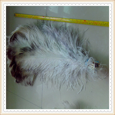 厂家批发10-15cm鸵鸟毛布条舞台服装时装辅料非洲鸵鸟羽毛|ms