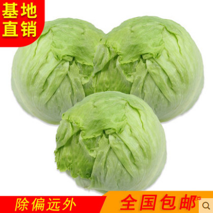 ボールレタス 10kg 送料無料雲南新鮮野菜サラダ材料洋風ハンバーガーラウンドレタスボールタイプ西洋レタス|undefined