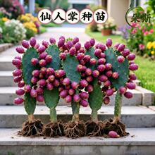 ǧ���^������ֲ���͟��̨�Gֲ�����������ǧ���ֶ���ֲ���҃���