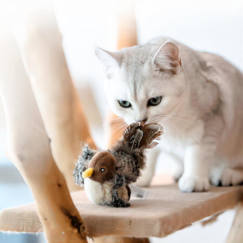 猫咪玩具逗猫棒仿真叫叫小鸟玩具幼猫自嗨解闷神器耐抓咬宠物用品|undefined