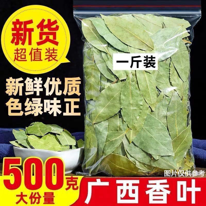 Guangxi Dried Bay Leaves Wholesale, Sulfur-Free Bay Leaves, Spice Seasoning, Marinade, Commercial Cinnamon, Direct from Manufacturer Guangxi Dried Bay Leaves Wholesale, Sulfur-Free Bay Leaves, Spice Seasoning, Marinade, Commercial Cinnamon, Direct from Manufacturer