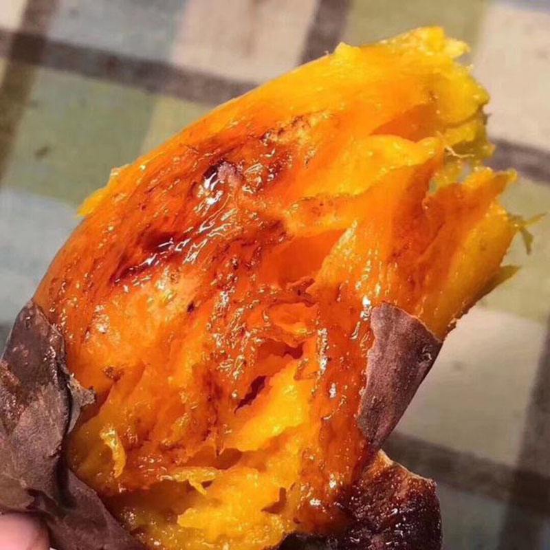 6b8bc70468478d41957456871451aa