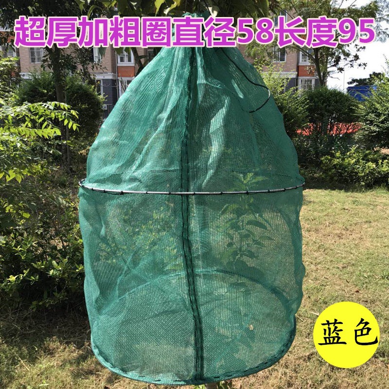折叠鱼护养鱼笼养虾笼泥鳅黄鳝笼暂养网箱螃蟹护吊笼渔网鱼笼防逃