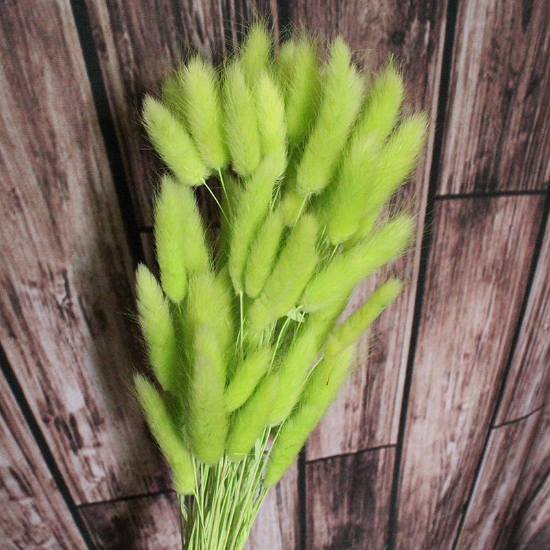 11900807908_511691582