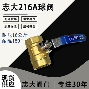 �S�����l216A�~���y���ݼy�����ߜ��~���yZHIDA�S�~���y Q11F-16T