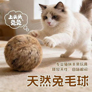 �����ë��؈�����o�����˽␞����С؈���S������Ȼ��ë��ץ��ҧ