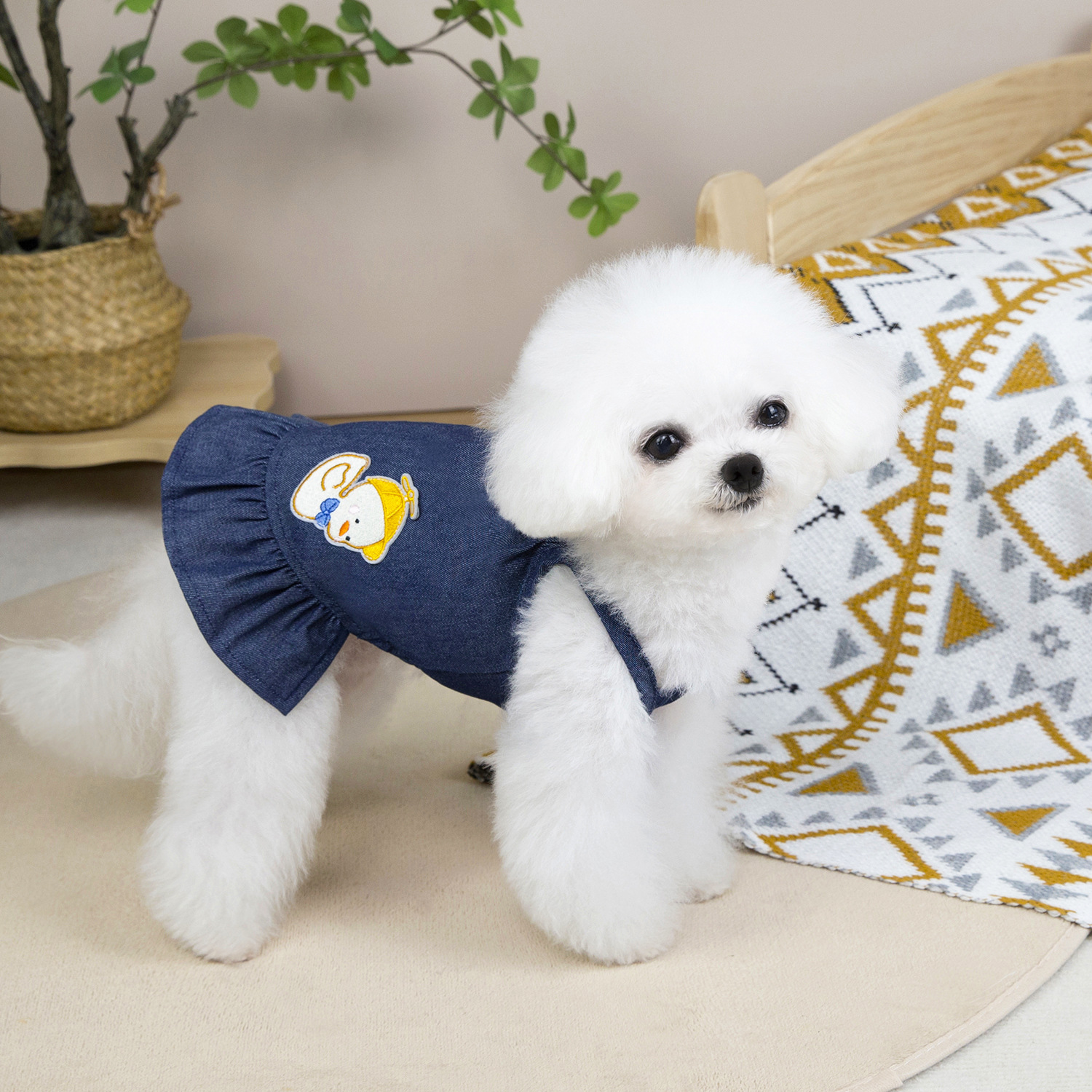 Denim prinsessklänning för små hundar som teddy och bichon_voghion.com