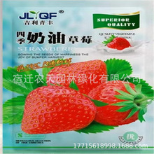 批发彩包种四季播种室内阳台盆栽花卉种子家庭花种葫芦薰衣草地摊