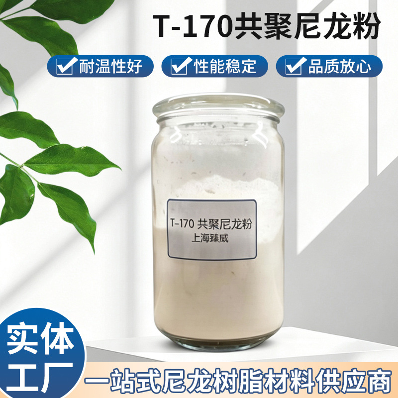�������� 120Ŀ T-170 ���۽������� ��������ĥ�Ժ�����������